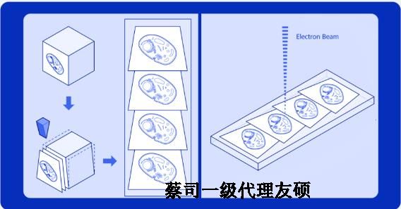 大兴蔡司大兴扫描电镜